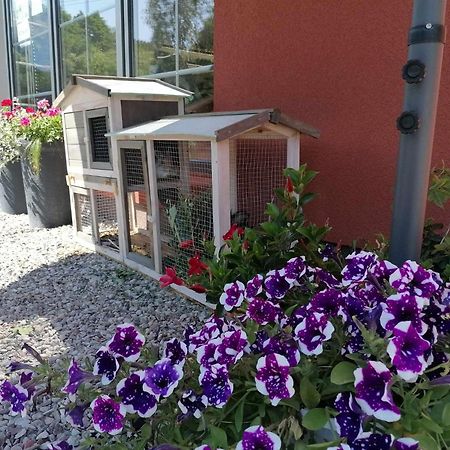 Gamtos Slenis Kaimo Turizmo Sodyba Bardinai Esterno foto