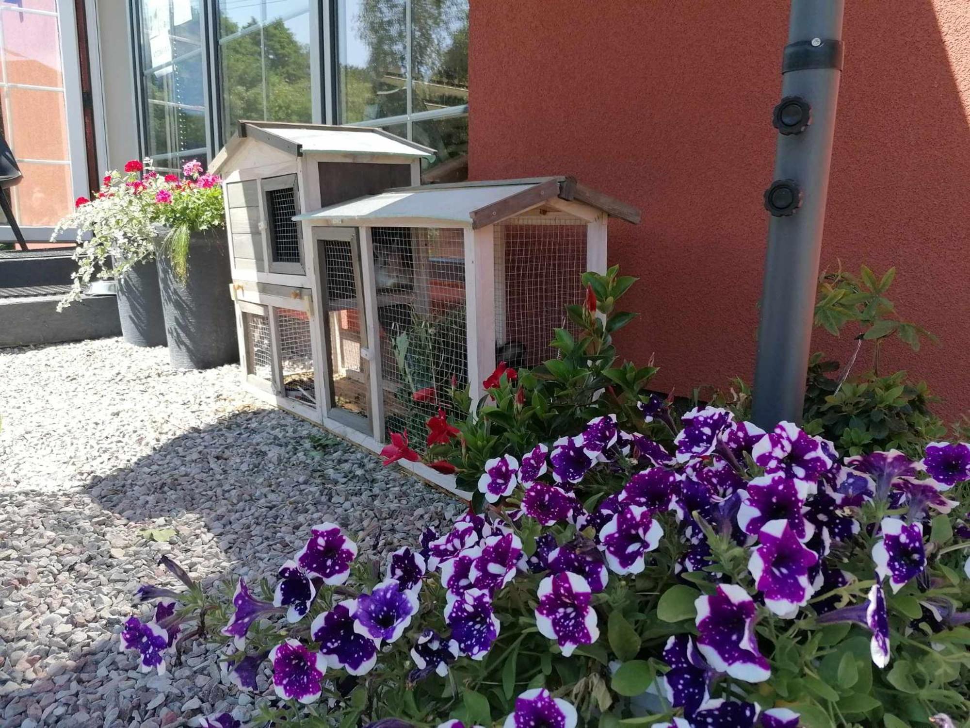 Gamtos Slenis Kaimo Turizmo Sodyba Bardinai Esterno foto
